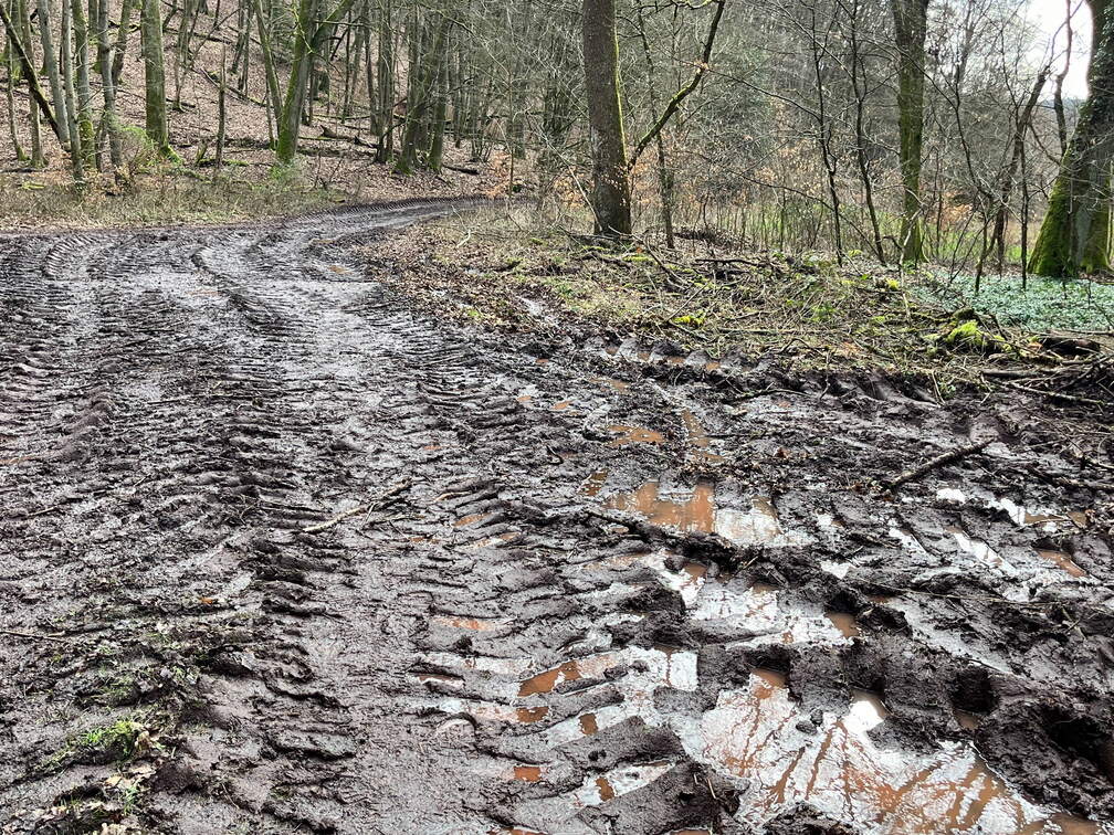 24-02-26 14-50-21 8715